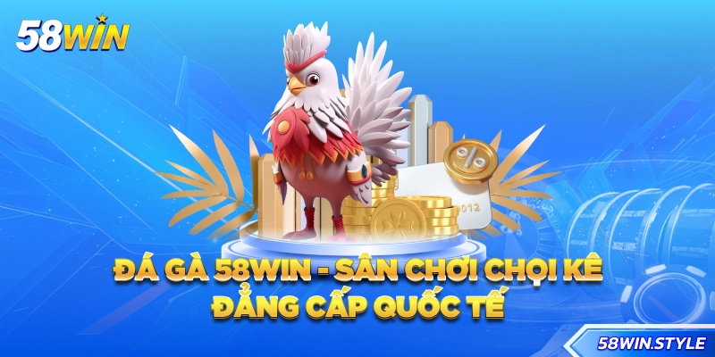 Đá gà 58win - Sân chơi chọi kê đẳng cấp quốc tế